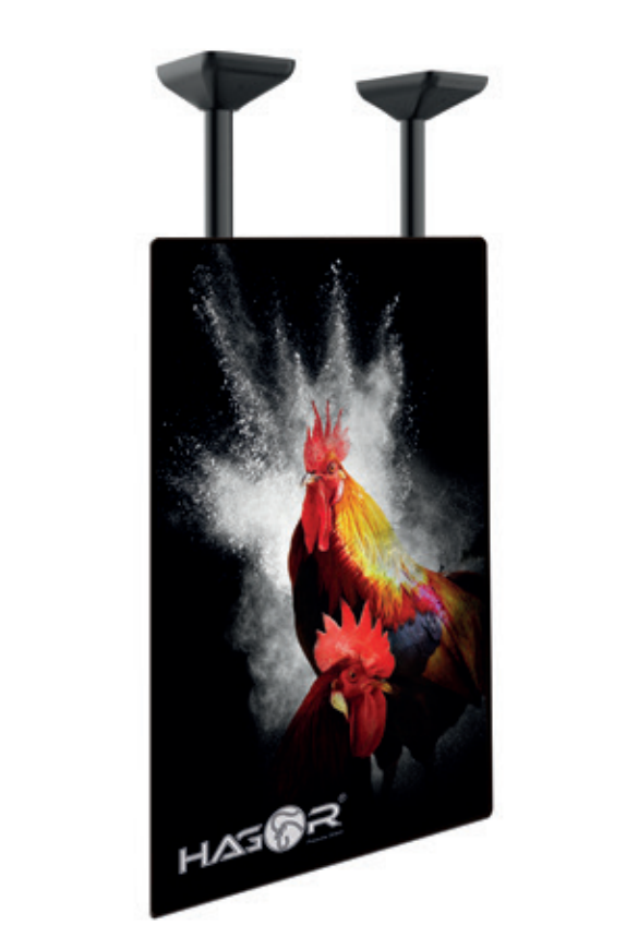 Hagor PLD Single HD Portrait - 2701