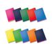Pigna Notitieboek A4 Colours 10 stuks