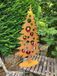 Edelrost Sapin Thoran avec ouvertures
