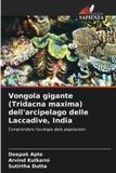 Vongola Edizioni Sapienza Vongola gigante (Tridacna maxima) dell'arcipelago delle Laccadive, India: Comprendere l'ecologia delle popolazioni