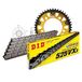 Kettingset DID Kettingset Stealth 525VX3 / 110 klinkslot goud voor Honda CB F Hornet 600 cc Bj. 1998-2006