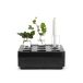 Born In Sweden Kit cadeau Stumpastaken Small noir