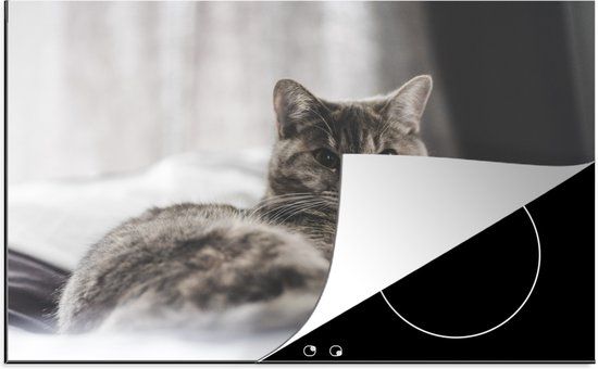 KitchenYeah® Inductie beschermer 77x51 cm - Kat - Inductiebeschermer