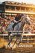 DID SHE HAVE ANY BUSINESS BEING THERE?: The Story of Winning Colours, the Bet Nobody Believed, and the Race That Changed Everything