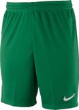 Nike Park II Knit - Sportbroek - Heren - Groen - Maat S