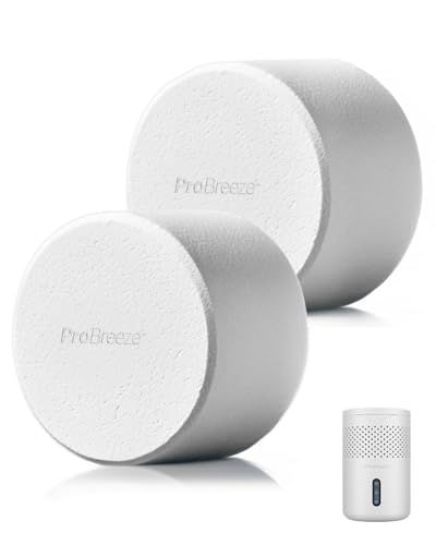 Pro Breeze Vochtvanger - navulverpakking - 2 stuks
