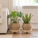 VidaXL Plantenpot met handvatten 2 st naturel ø 45 x 36 cm