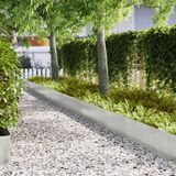 Bordure de jardin Acier inoxydable Argent