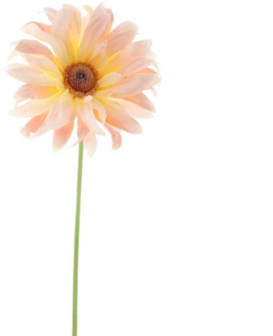 Erutan avon Gerbera spray Lotte peach 76 cm