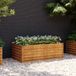 Maison Exclusive - Jardinière surélevée pour jardin, 100 x 50 x 36 cm, en acier Corten