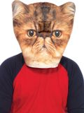 Leg Avenue Foam Angry Cat Mask