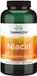 Swanson Health Products Vitamine B-3 Niacinamide 250 mg 250 gélules