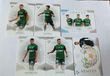 SportZoo HALF TIME Ekstraklasa 24/25 Śląsk Wrocław set of 6 Premium cards