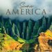 Willow Creek Press Scenic America 2027 12 X 12 Calendrier mural