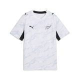 PUMA Functioneel shirt 'Neuseeland' grijs / zwart / wit