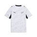 PUMA Functioneel shirt 'Neuseeland' grijs / zwart / wit