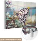 MuchoWow® Glass Painting 180x120 cm - Butterfly - Flowers - Spring - Acrylic Glass