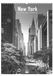 New Neumann Verlage New York 2027