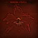 Music On Vinyl Machine Head Burning Red