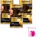 Syoss Oleo Intense 4-60 Brun doré Coloration permanente - 3 pièces