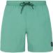 Protest Zwemshort Speed Mannen 3XL IJsachtig Groen Polyester