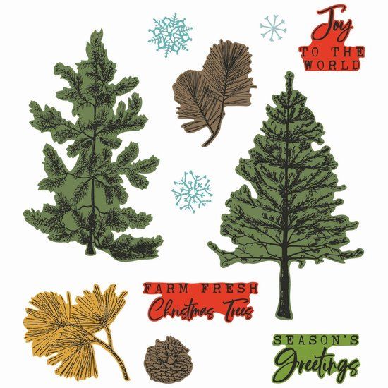 Sizzix Clear Stamp Set A5 with Framelits Die Pine Holidays 21pcs