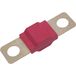 TRU COMPONENTS TC-13545880 Zekering 50 A 80 V/DC Inhoud 10 stuk(s) Bulk