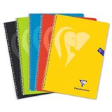 Clairefontaine 596953C Mimesys Spiraalschrift - Folio 21,5x31 cm - 160 Pagina's Geruit 4x4 mm met Kantlijn - Wit Papier 90 g - Polypro Omslag - Willekeurige Felle Kleur