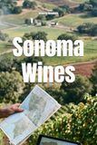 Sonoma Wines