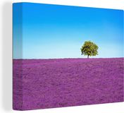 OneMillionCanvasses Canvas schilderij 160x120 cm - Boom - Paars - Modern - Wanddecoratie