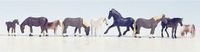 NOCH 15761 H0 Dieren figuren Geverfd, Staand