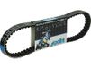 Polini Courroie de transmission pour Scooter Piaggio 50 LX 248.031.3 Neuf
