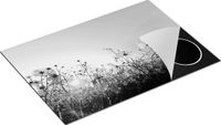 Chefcare Inductie Beschermer Kosmos Bloemenveld Zwart Wit 75x50 cm