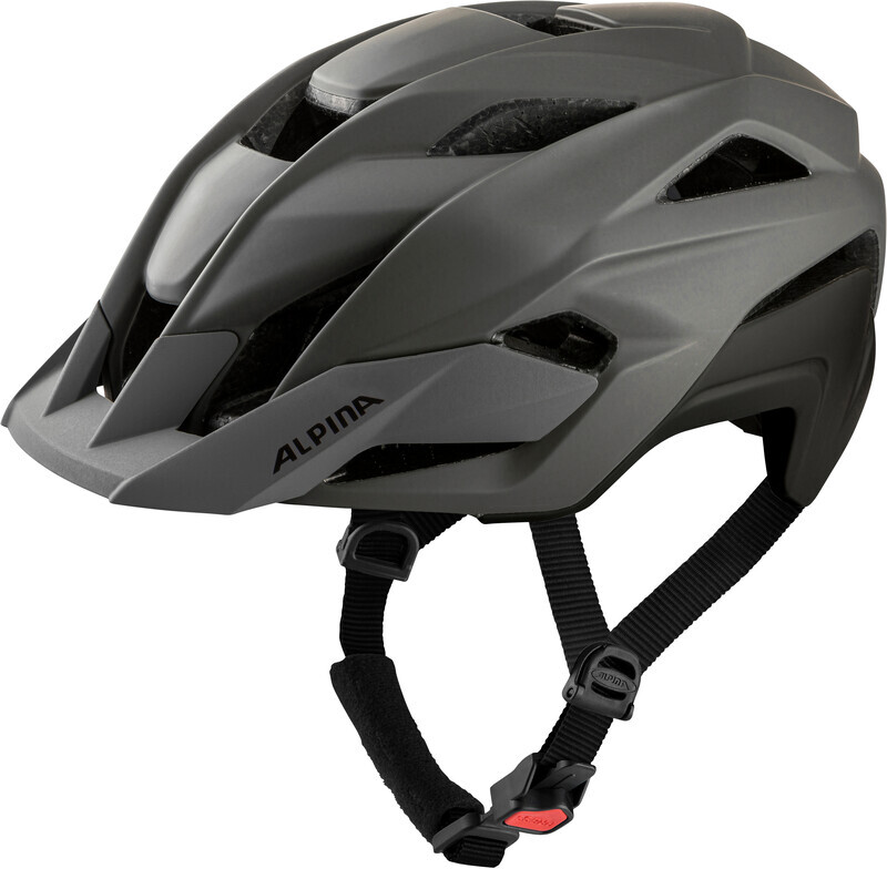 Alpina Stan MIPS Helmet