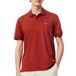Lacoste T-shirt Polo