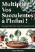 MULTIPLIEZ VOS SUCCULENTES A L'INFINI! Guide ILLUSTRÉ: Bouturage, Feuilles, Tiges. Toutes les Techniques pas à pas.