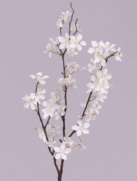 Bellatio Flowers & Plants Fun & Feest Bloemen Appelbloesem tak