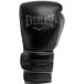 Everlast Gants de boxe entraînement Powerlock 2 Pro