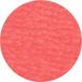 PFERD TOOLS 42749508 Disque lamelle en fibre Diamètre 50 mm Granulométrie (num): 80 100 pièce(s)