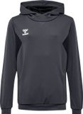 Hummel Kinder hoodie Hmlauthentic Pl Kids 219977