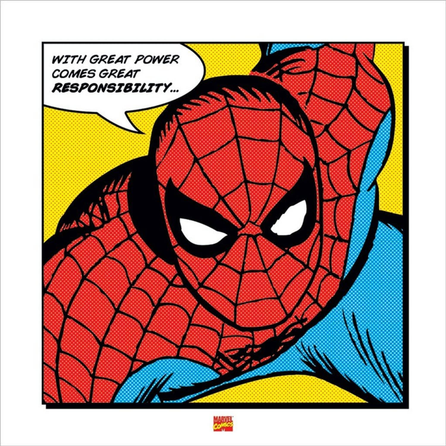 Pyramid spider-man with great power kunstdruk 40x40cm