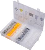 SW Stahl Bevestigingsclip Assortiment voor Renault S8018-180-delig