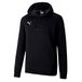 PUMA Teamgoal 23 Casual herentrui met capuchon, groen, S, Puma zwart, M