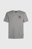 O'Neill Small Logo T-shirt - Heren - Grijs - Maat: S