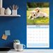 Dayplanner Baby Dieren Kalender 2027 Wandkalender