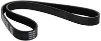 Metzger 6PK946 Dayco V-riem