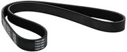 Metzger 6PK946 Dayco V-riem