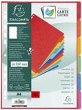 Exacompta Tabbladen glanskarton 400g 12 posities - A4 maxi - Geassorteerd