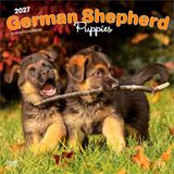 German Browntrout German Shepherd Puppies - Deutsche Schäferhund Welpen 2027 - 16-Monatskalender