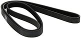 Dayco 5PK1572 riem